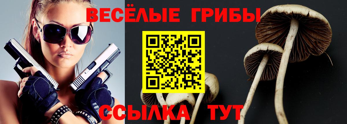 Псилоцибиновые грибы Magic Shrooms Серов